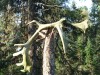 Файл=DSC01332.JPG
Объём=229KB
Размеры=1024x768
Дата=Фев 07, 2008 DSC01332.JPG