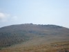 Файл=DSC01346.JPG
Объём=67KB
Размеры=1024x768
Дата=Фев 07, 2008 DSC01346.JPG