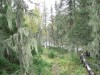 Файл=DSC01372.JPG
Объём=228KB
Размеры=1024x768
Дата=Фев 07, 2008 DSC01372.JPG