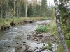 Файл=DSC01373.JPG
Объём=231KB
Размеры=1024x768
Дата=Фев 07, 2008 DSC01373.JPG