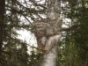 Файл=DSC01378.JPG
Объём=186KB
Размеры=1024x768
Дата=Фев 07, 2008 DSC01378.JPG