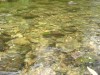 Файл=DSC01379.JPG
Объём=173KB
Размеры=1024x768
Дата=Фев 07, 2008 DSC01379.JPG