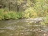 Файл=DSC01382.JPG
Объём=190KB
Размеры=1024x768
Дата=Фев 07, 2008 DSC01382.JPG