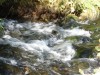Файл=DSC01388.JPG
Объём=171KB
Размеры=1024x768
Дата=Фев 07, 2008 DSC01388.JPG
