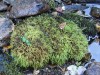Файл=DSC01391.JPG
Объём=262KB
Размеры=1024x768
Дата=Фев 07, 2008 DSC01391.JPG