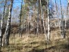 Файл=DSC01574.JPG
Объём=280KB
Размеры=1024x768
Дата=Фев 07, 2008 DSC01574.JPG