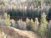Файл=DSC01584.JPG
Объём=224KB
Размеры=1024x768
Дата=Фев 07, 2008 DSC01584.JPG
