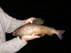 DSC01916.JPG