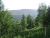 DSC01943.JPG