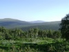 DSC01944.JPG