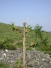 DSC01945.JPG