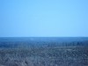 DSC02025.JPG