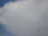 DSC02079~0.JPG