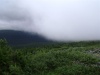 DSC02083.JPG
