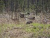 Файл=DSC02090.JPG
Объём=275KB
Размеры=1024x768
Дата=Май 21, 2007 DSC02090.JPG