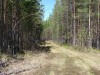 Файл=DSC02092.JPG
Объём=271KB
Размеры=1024x768
Дата=Май 21, 2007 DSC02092.JPG