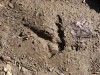 Файл=DSC02107.JPG
Объём=333KB
Размеры=1024x768
Дата=Май 21, 2007 DSC02107.JPG