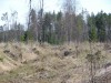 Файл=DSC02109.JPG
Объём=266KB
Размеры=1024x768
Дата=Май 21, 2007 DSC02109.JPG