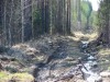 Файл=DSC02114.JPG
Объём=248KB
Размеры=1024x768
Дата=Май 21, 2007 DSC02114.JPG
