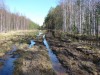 Файл=DSC02117.JPG
Объём=242KB
Размеры=1024x768
Дата=Май 21, 2007 DSC02117.JPG