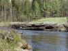 Файл=DSC02145.JPG
Объём=259KB
Размеры=1024x768
Дата=Май 28, 2007 DSC02145.JPG