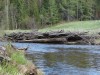Файл=DSC02147.JPG
Объём=251KB
Размеры=1024x768
Дата=Май 28, 2007 DSC02147.JPG