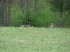 Файл=DSC02166.JPG
Объём=202KB
Размеры=1024x768
Дата=Май 28, 2007 DSC02166.JPG