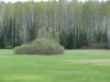 Файл=DSC02186.JPG
Объём=188KB
Размеры=1024x768
Дата=Май 28, 2007 DSC02186.JPG