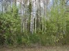 Файл=DSC02188.JPG
Объём=276KB
Размеры=1024x768
Дата=Май 28, 2007 DSC02188.JPG