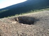 Файл=DSC02192.JPG
Объём=234KB
Размеры=1024x768
Дата=Июль 07, 2008 DSC02192.JPG