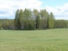 Файл=DSC02195.JPG
Объём=175KB
Размеры=1024x768
Дата=Май 28, 2007 DSC02195.JPG