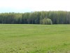 DSC02199.JPG