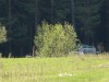 DSC02203.JPG