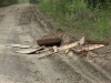 Файл=DSC02211.JPG
Объём=220KB
Размеры=1024x768
Дата=Май 28, 2007 DSC02211.JPG