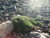 Файл=DSC02218.JPG
Объём=214KB
Размеры=1024x768
Дата=Июль 07, 2008 DSC02218.JPG