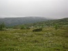 Файл=DSC02227.JPG
Объём=99KB
Размеры=1024x768
Дата=Окт 08, 2008 DSC02227.JPG