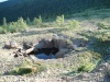 Файл=DSC02237.JPG
Объём=259KB
Размеры=1024x768
Дата=Июль 07, 2008 DSC02237.JPG