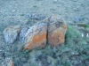 Файл=DSC02254.JPG
Объём=257KB
Размеры=1024x768
Дата=Июль 07, 2008 DSC02254.JPG
