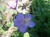 Файл=DSC02268.JPG
Объём=77KB
Размеры=1024x768
Дата=Июль 07, 2008 DSC02268.JPG
