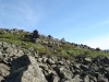 Файл=DSC02283.JPG
Объём=155KB
Размеры=1024x768
Дата=Июль 07, 2008 DSC02283.JPG