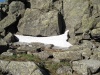 Файл=DSC02310.JPG
Объём=234KB
Размеры=1024x768
Дата=Июль 07, 2008 DSC02310.JPG