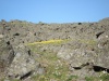 Файл=DSC02314.JPG
Объём=155KB
Размеры=1024x768
Дата=Июль 07, 2008 DSC02314.JPG
