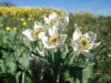 Файл=DSC02322.JPG
Объём=96KB
Размеры=1024x768
Дата=Июль 07, 2008 DSC02322.JPG