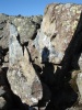 Файл=DSC02331.JPG
Объём=112KB
Размеры=576x768
Дата=Июль 07, 2008 DSC02331.JPG