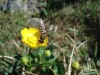 Файл=DSC02339.JPG
Объём=105KB
Размеры=1024x768
Дата=Июль 07, 2008 DSC02339.JPG
