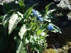 Файл=DSC02340.JPG
Объём=168KB
Размеры=1024x768
Дата=Июль 07, 2008 DSC02340.JPG