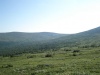 Файл=DSC02404.JPG
Объём=123KB
Размеры=1024x768
Дата=Окт 07, 2008 DSC02404.JPG