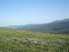 Файл=DSC02405.JPG
Объём=139KB
Размеры=1024x768
Дата=Окт 07, 2008 DSC02405.JPG