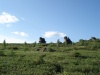 Файл=DSC02406.JPG
Объём=141KB
Размеры=1024x768
Дата=Окт 07, 2008 DSC02406.JPG