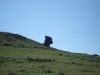 Файл=DSC02428.JPG
Объём=70KB
Размеры=1024x768
Дата=Окт 07, 2008 DSC02428.JPG